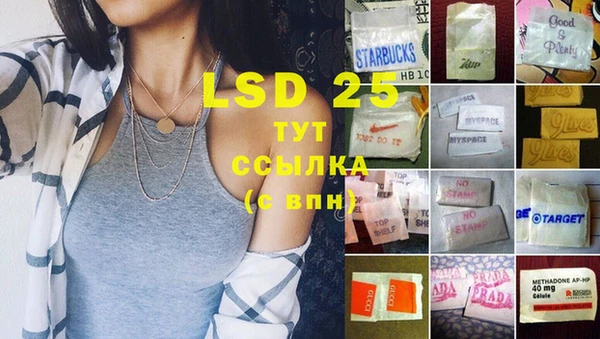 спайс Баксан