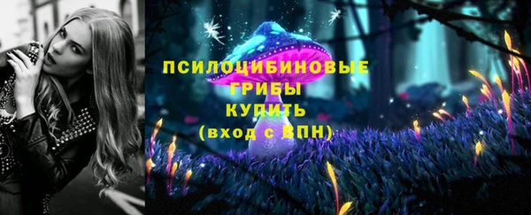 винт Аркадак