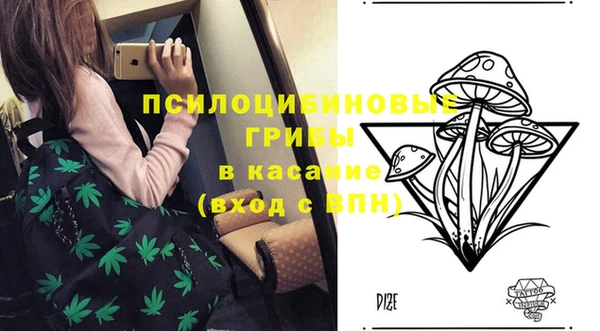 шишки Армянск