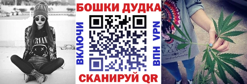 Каннабис план где купить наркоту Луховицы